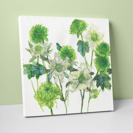 JTC11 - White Scabious Canvas